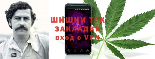 эйфоретик Горняк