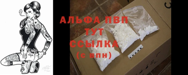 гидропоника Горнозаводск