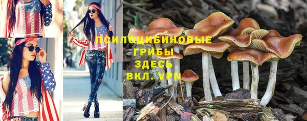 эйфоретик Горняк