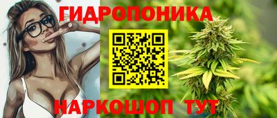 спиды Заводоуковск