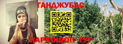 спиды Заводоуковск