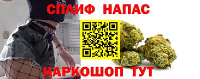 спиды Заводоуковск