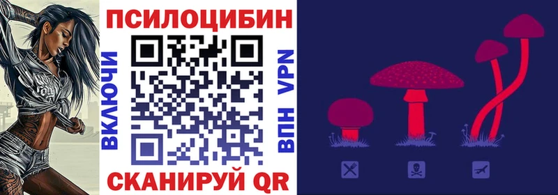 Псилоцибиновые грибы Cubensis  дарк нет телеграм  Нерюнгри 