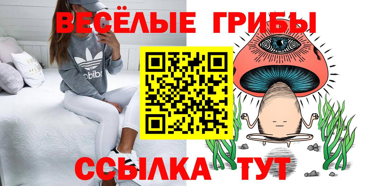 Галлюциногенные грибы GOLDEN TEACHER Нерюнгри