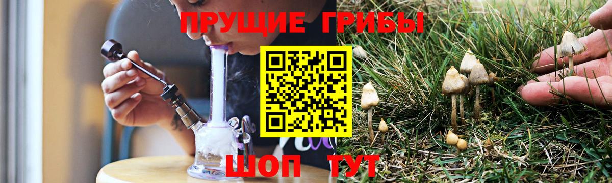 Псилоцибиновые грибы GOLDEN TEACHER Нерюнгри
