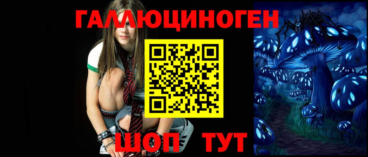 Галлюциногенные грибы Psilocybe  хочу наркоту  Нерюнгри 